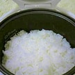 古米のおいしい炊き方～みりんを加える方法～